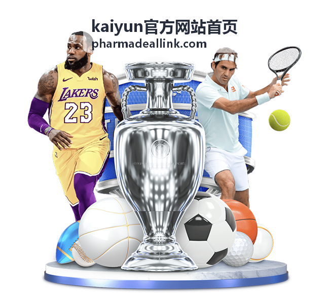 kaiyun官方网站首页供应商档案维护界面示意